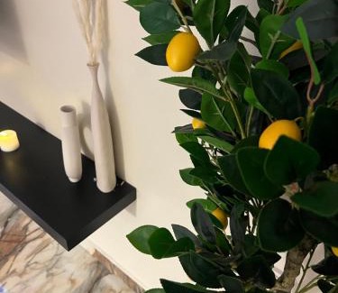 Al Khiran Apartamento | Six countries apartments