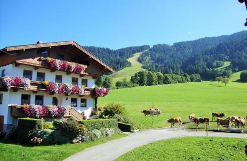 Niederau Apartamento | Sixenhof