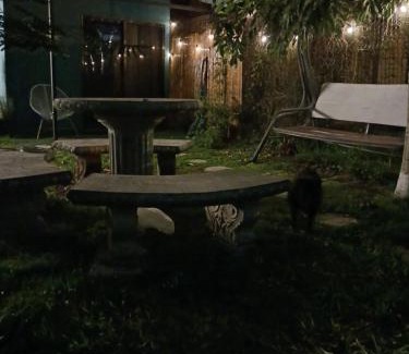 Río Segundo Casa | SJO Green Casita