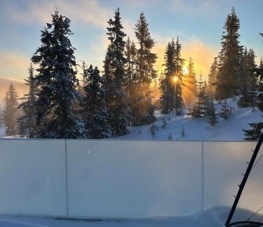 Sjusjoen Casa | Sjusjøstua by Norgesbooking - cabin close to cross country trails