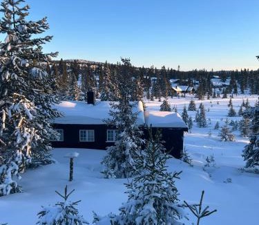Sjusjoen Casa | Sjusjøstua by Norgesbooking - cabin close to cross country trails