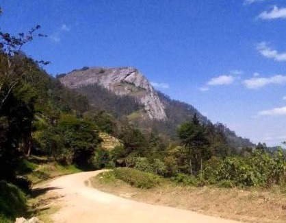 Wundanyi Casa | SK Suites Lushangonyi, Wundanyi Taita
