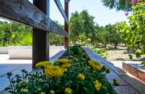Gythio Casa | Vacaciones en Skala Cottage bajo el sol