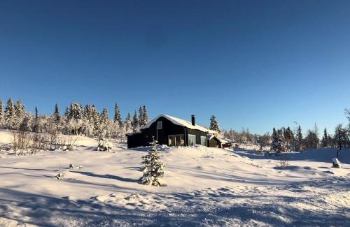 Al Casa | Skarvebo - cabin with amazing view