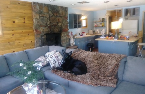 Ptarmigan Mountain Cabina | Ski Country Cabin On 1. 5 Acres