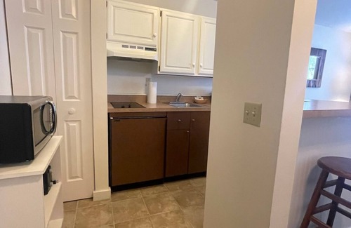 Hancock Condominio | Ski In & Ski Out - Deluxe 1 Bedroom Condo Sleeps 5