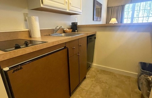 Hancock Condominio | Ski In & Ski Out - Deluxe 1 Bedroom Condo Sleeps 5