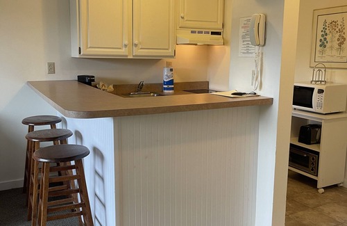 Hancock Condominio | Ski In & Ski Out - Deluxe 1 Bedroom Condo Sleeps 5