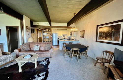 Steamboat Springs Condominio | Ski-in/ski-out Mountain Side - Winter Shuttle Wifi Fireplace