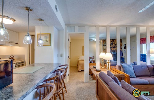 Mount Jackson Condominio | Ski/MTB/Golf Condo (#111) - Slope side | Ski slope & Resort views | Walk-in access!