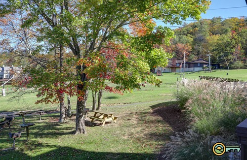 Mount Jackson Condominio | Ski/MTB/Golf Condo (#115) - Slope side | Ski slope & Resort views | Walk-in access!