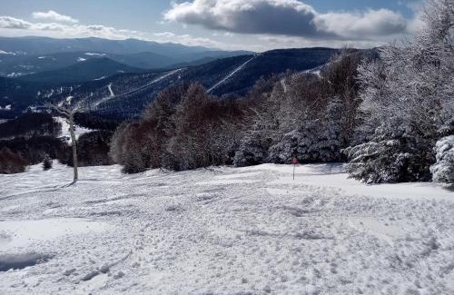 Warren Casa | Ski to your back door! Shared condo with ski professional and cat.