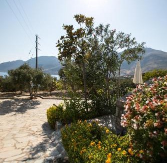 Skoutari Apartamento | Skoutari Bungalows Galateia room