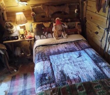 Chiefland Otro | Sky acres aka the tin cottage