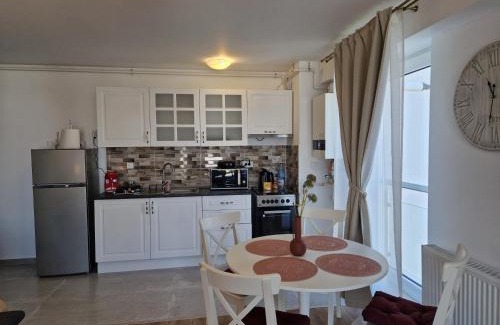 Otopeni Apartamento | Sky Airport Residence