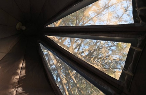 Dunlap Apartamento | Sky Pod #2/Tree Tent 2