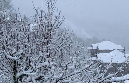 Sugar Mountain Apartamento | Skyleaf 703