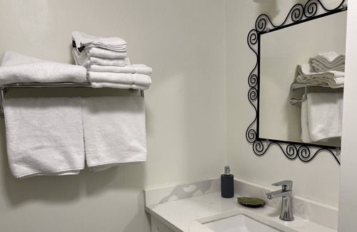 Port Coquitlam Casa | Skytrain Poco Beautifully Reno'd Ground Level Unit