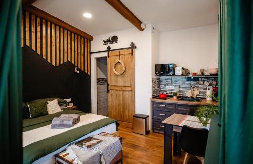 Borsec Apartamento | Skyway Borsec Connection Hideaway