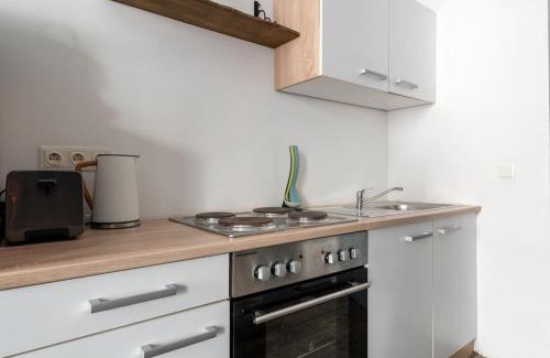 Weißgerber Apartamento | Sleek Studio by City Center by HM