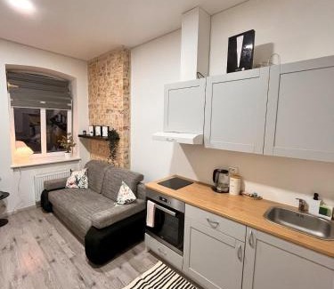 Vilnius Apartamento | Sleep in history COZY LOFT