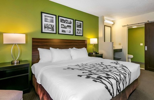 East Texas Hotel | Sleep Inn Allentown - Fogelsville