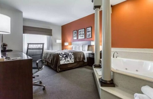 Bowie Hotel | Sleep Inn And Suites Lubbock