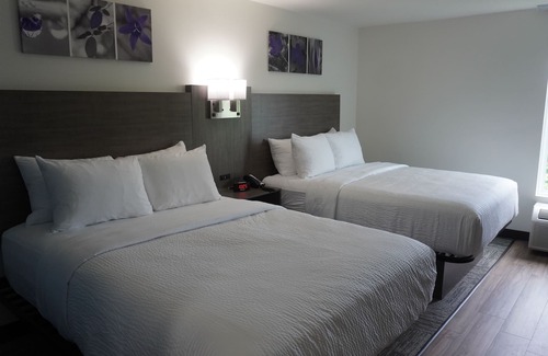 Franklin Hotel | Sleep Inn Franklin - Cool Springs