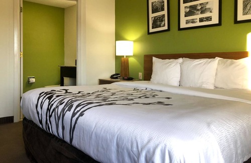 Hardeeville Hotel | Sleep Inn Hardeeville - I-95