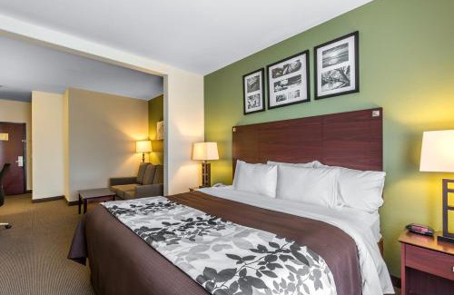 Humble Hotel | Sleep Inn & Suites Bush Intercontinental - IAH East