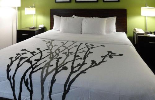 Columbus Hotel | Sleep Inn & Suites Near Columbus - State University Area