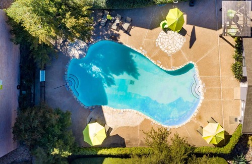 Windsor Park Apartamento | Sleepover : Dashing 1BD/1BA + Gym - Austin TX