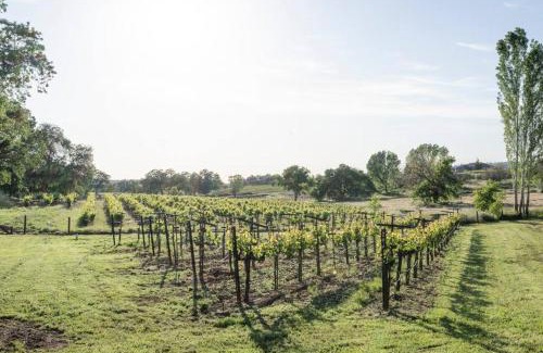 Shenandoah Valley Casa | Sleeps 12 Pet Friendly Next to Amador Top Wineries