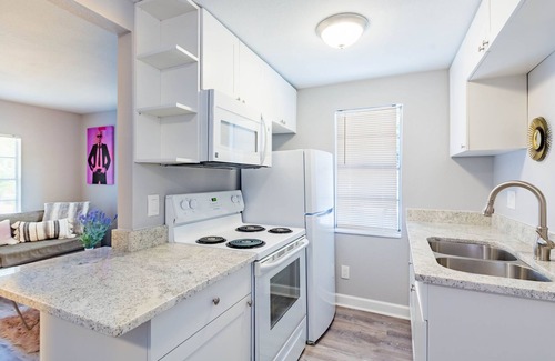 Tampa Casa | Sleeps 4 Hot Tub Fenced INN