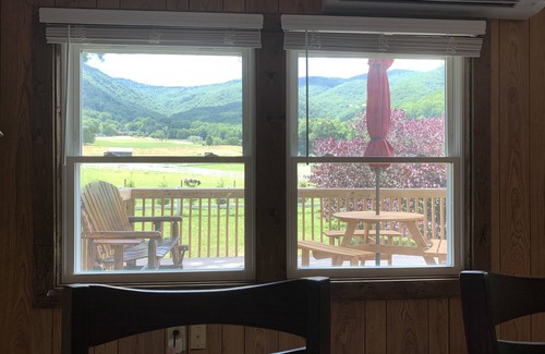 Waynesville Apartamento | Sleeps 6 - Mountain Views! Enjoy watching Alpacas & Mini Horses from your deck!