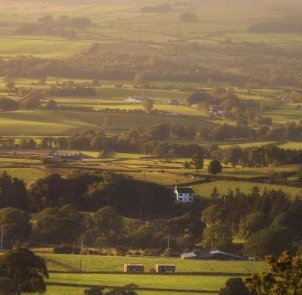 Buckna Cabina | Slemish Hideaway - Funky Pheasant