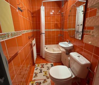 Hunedoara Apartamento | Small apartment in Hunedoara