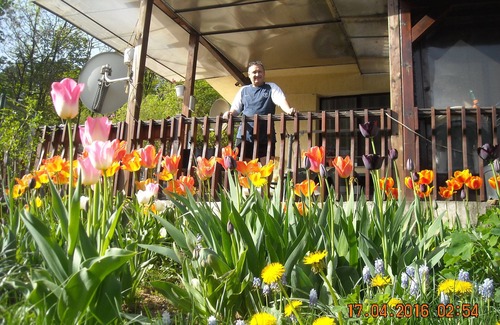 Vitosha District Casa | Pequeña casa preciosa con entrada independiente en las afueras de la montaña Vitosha