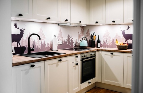 Villingen-Schwenningen Apartamento | Little Black Forest bliss with balcony, kitchen, elevator and garage