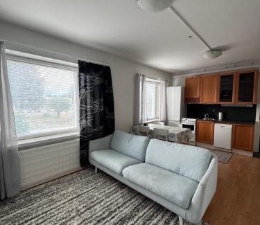 Enonkoski Apartamento | Small budget traveler's two-room apartment