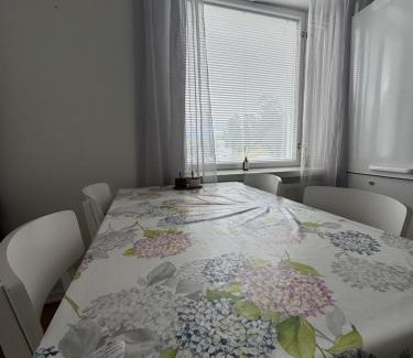 Enonkoski Apartamento | Small budget traveler's two-room apartment