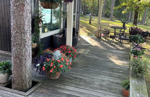 Russellville Cabina | Small cabin right on the lake !