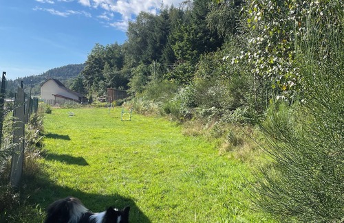 Dommartin-les-Remiremont Chalet De Esquí | Small chalet and large green area for pets.
