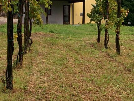 Slap Casa | Small house in Vipava valley