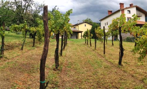 Slap Casa | Small house in Vipava valley