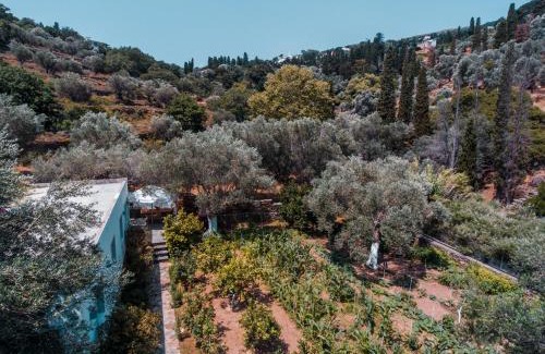 Andros Town Casa | Small Paradise