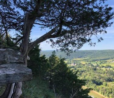 Wyalusing Apartamento | Small Town Hideaway