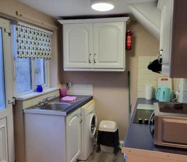 Muine Bheag Apartamento | Small Town House, Barrow Lane, Bagenalstown, Carlow