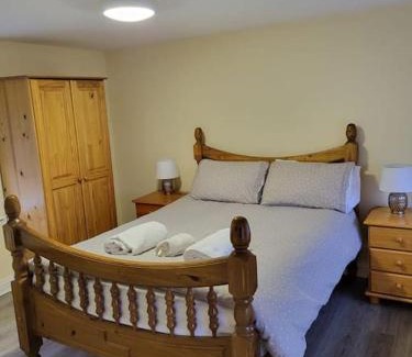 Muine Bheag Apartamento | Small Town House, Barrow Lane, Bagenalstown, Carlow