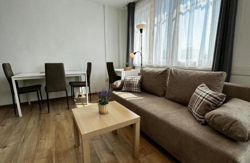 Repy Apartamento | Smarty Choice Living with FREE PARKING - Vondroušova